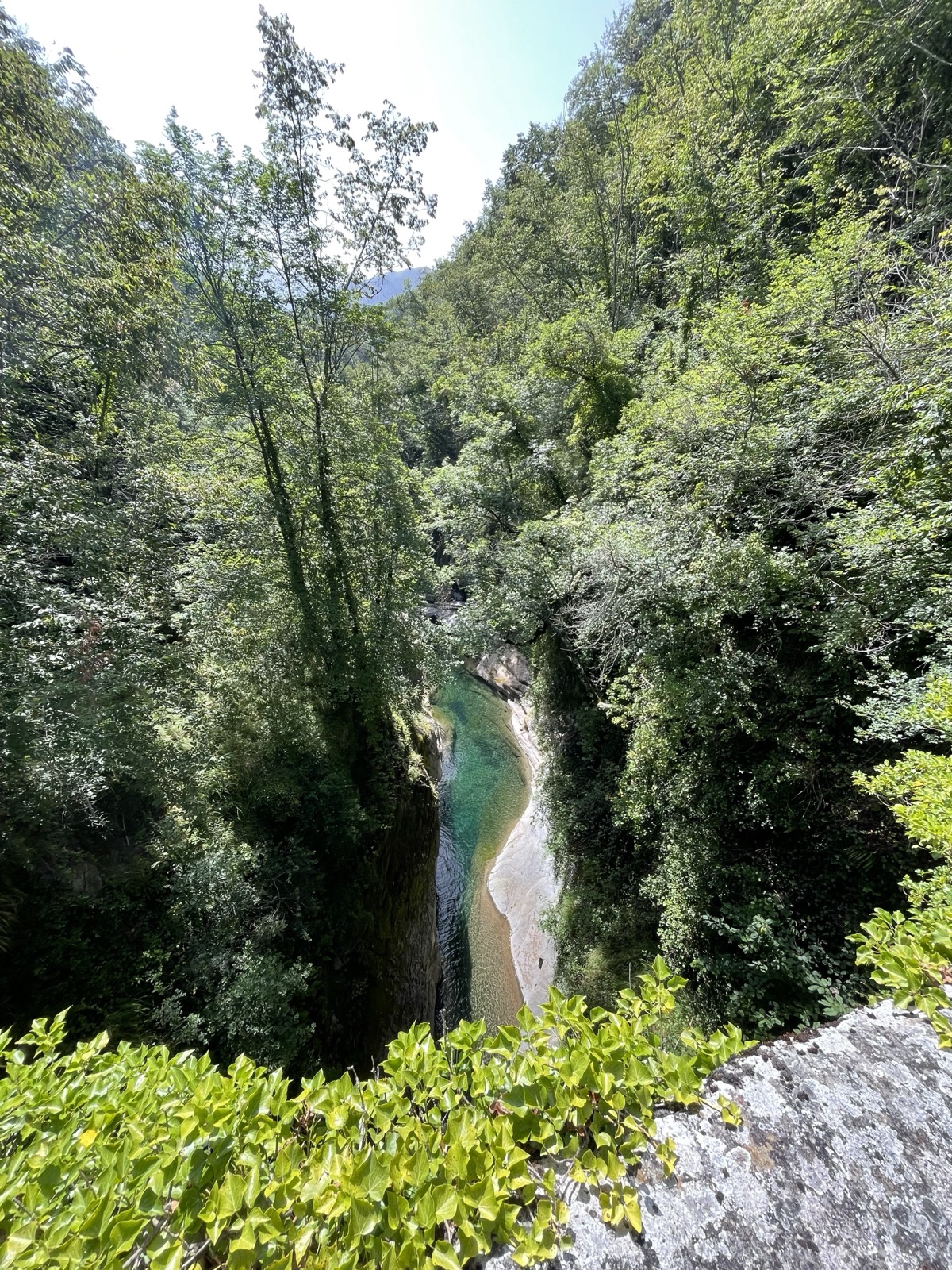 Torrente