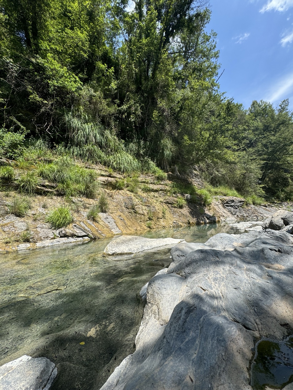 Acque verdi